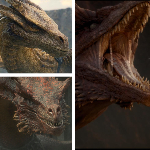 Every Dragon in 'House of the Dragon' So Far - Who Are the 17 Dragons in  the 'GOT' Prequel?