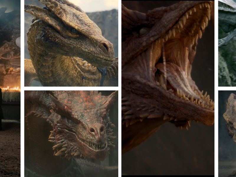 Every Dragon in 'House of the Dragon' So Far - Who Are the 17