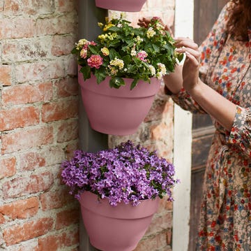 a person standing next to a brick wall with potted plants in a drainpipe plant pot