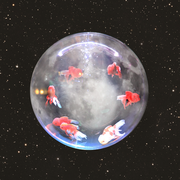 different fish are arranged over a full moon as if in a fish bowl
