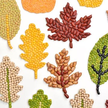 fall crafts for kids fall crafts for kids