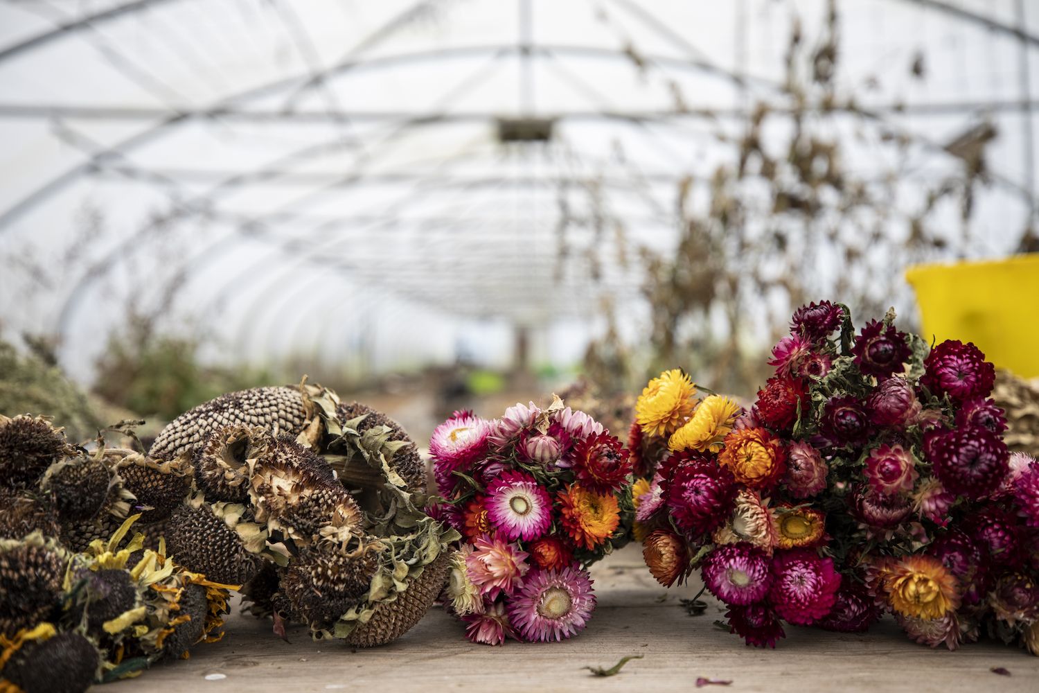 Dried store floral arrangements