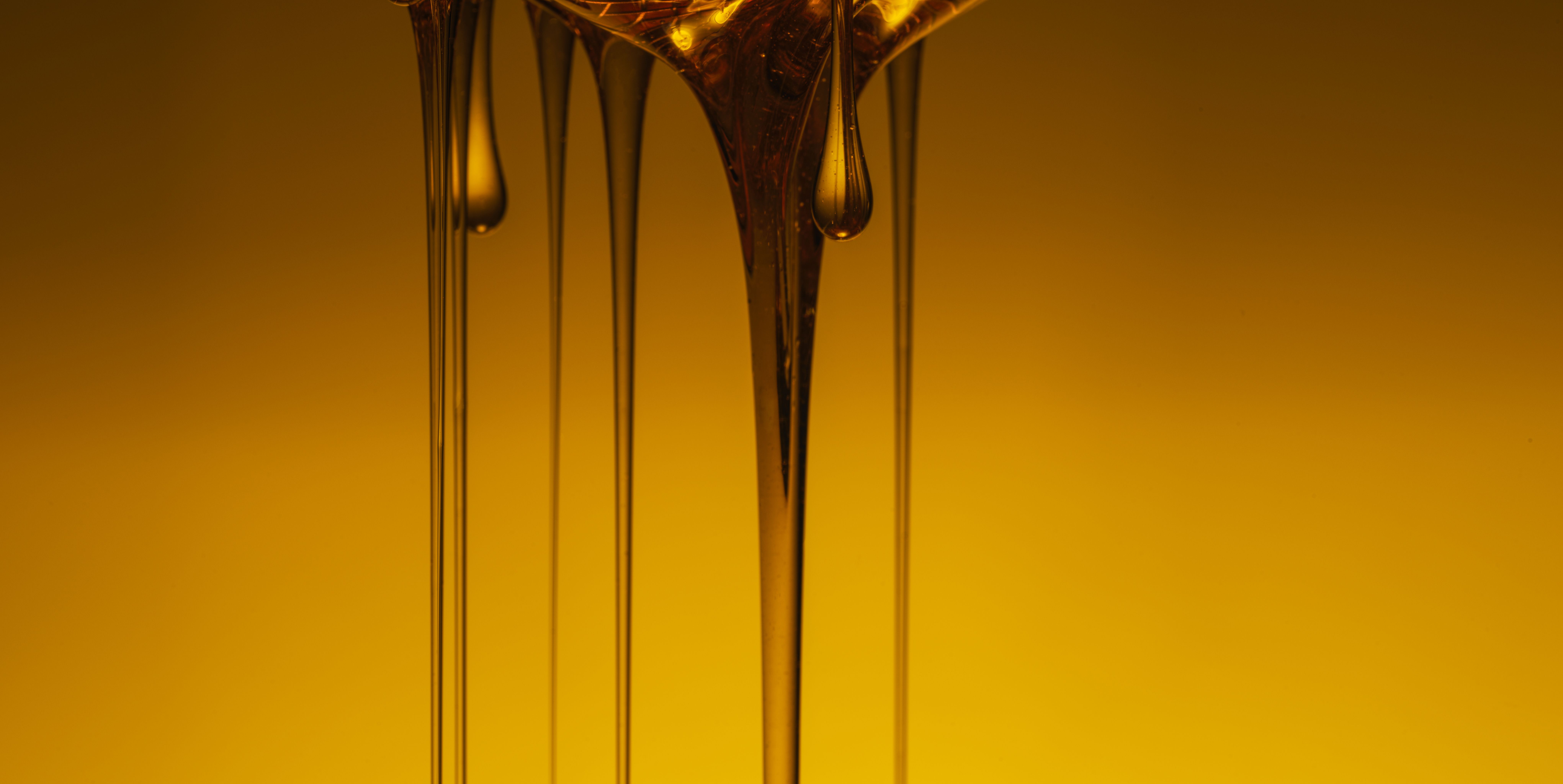 dripping-honey-royalty-free-image-1748894179.pjpeg