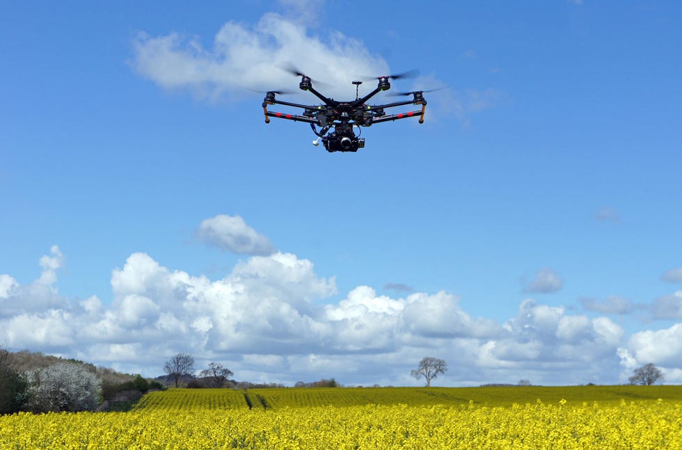 Rapeseed, Field, Canola, Mustard plant, Sky, Vehicle, Crop, Plant, Grassland, Rotorcraft, 