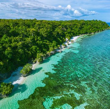 drone shot of the magical shores of siquijor island, philippines
