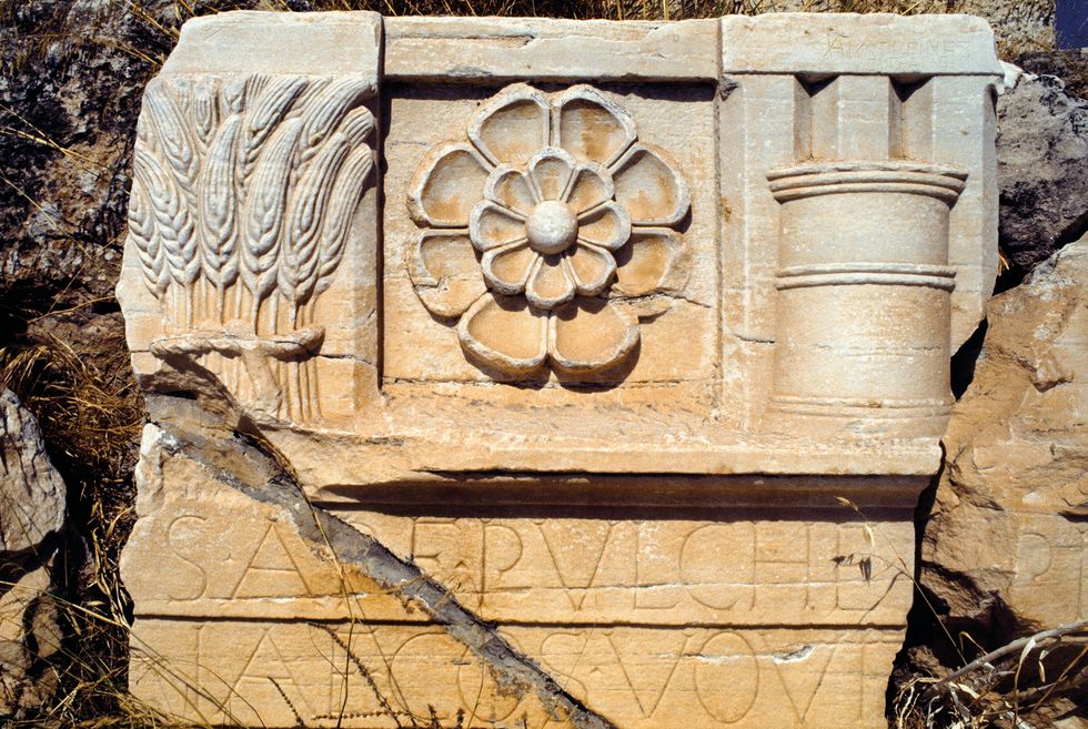 Papaver Detail van een relif in Eleusis Griekenland waar een mystiek ritueel plaatsvond
