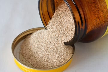 dry yeast