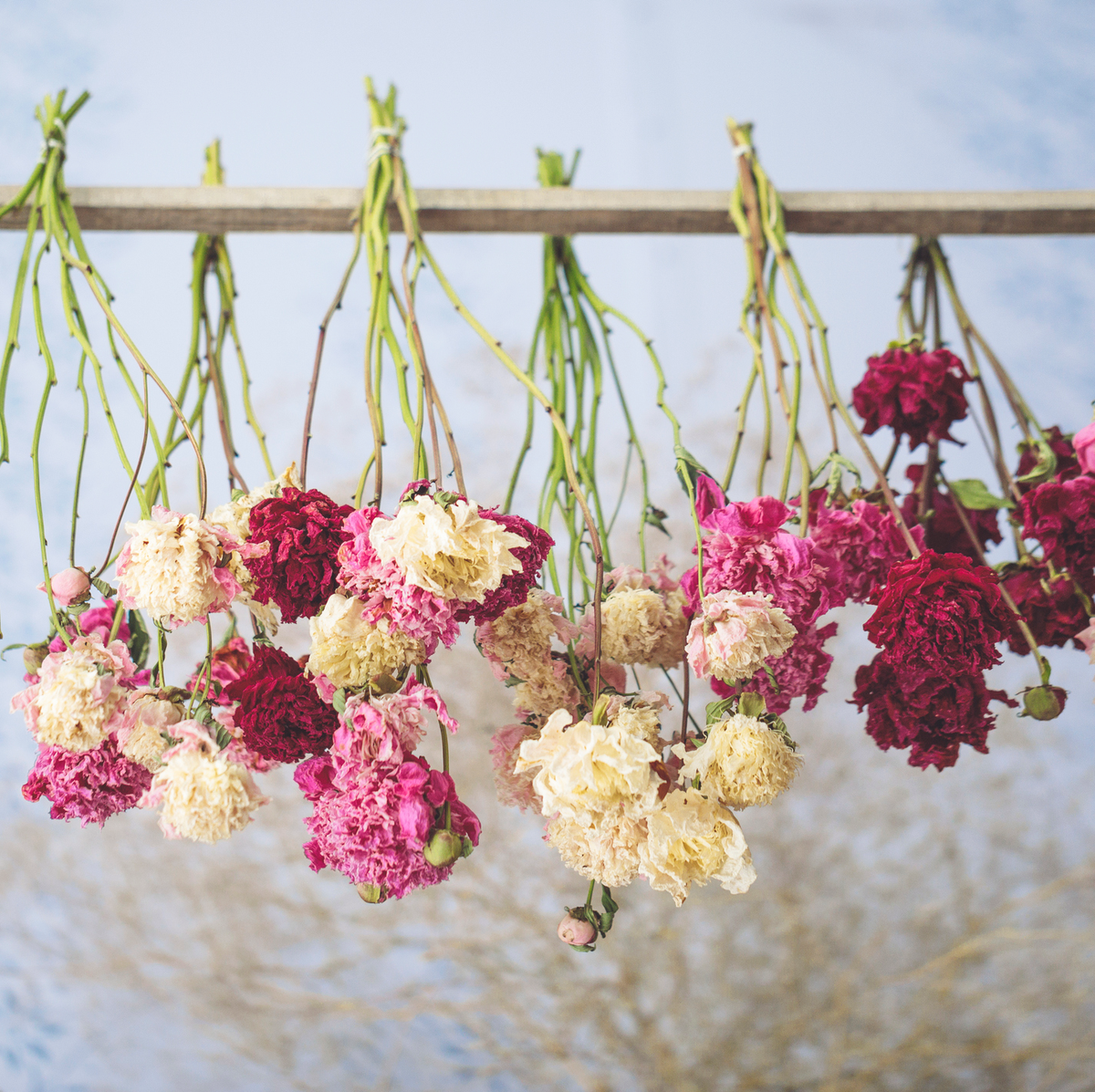 How To Dry Flowers Preserve A Bouquet