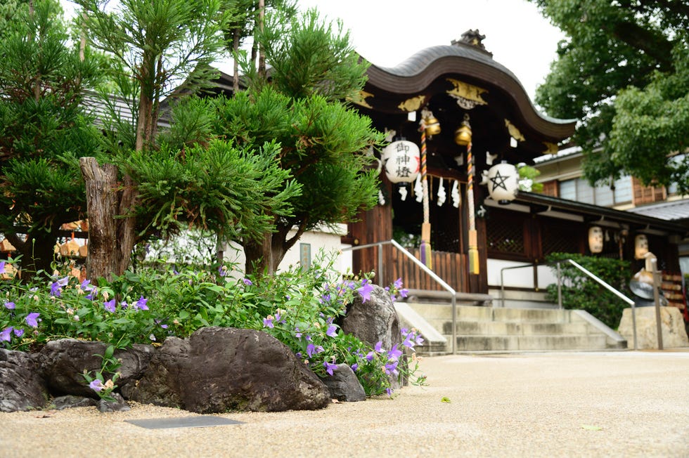 京都晴明神社 安倍晴明 桔梗庵 五芒星 愛のエネルギーに満ちた石 - アクセサリー