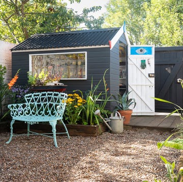 the 2023 shed of the year at the end of the garden on a sunny day