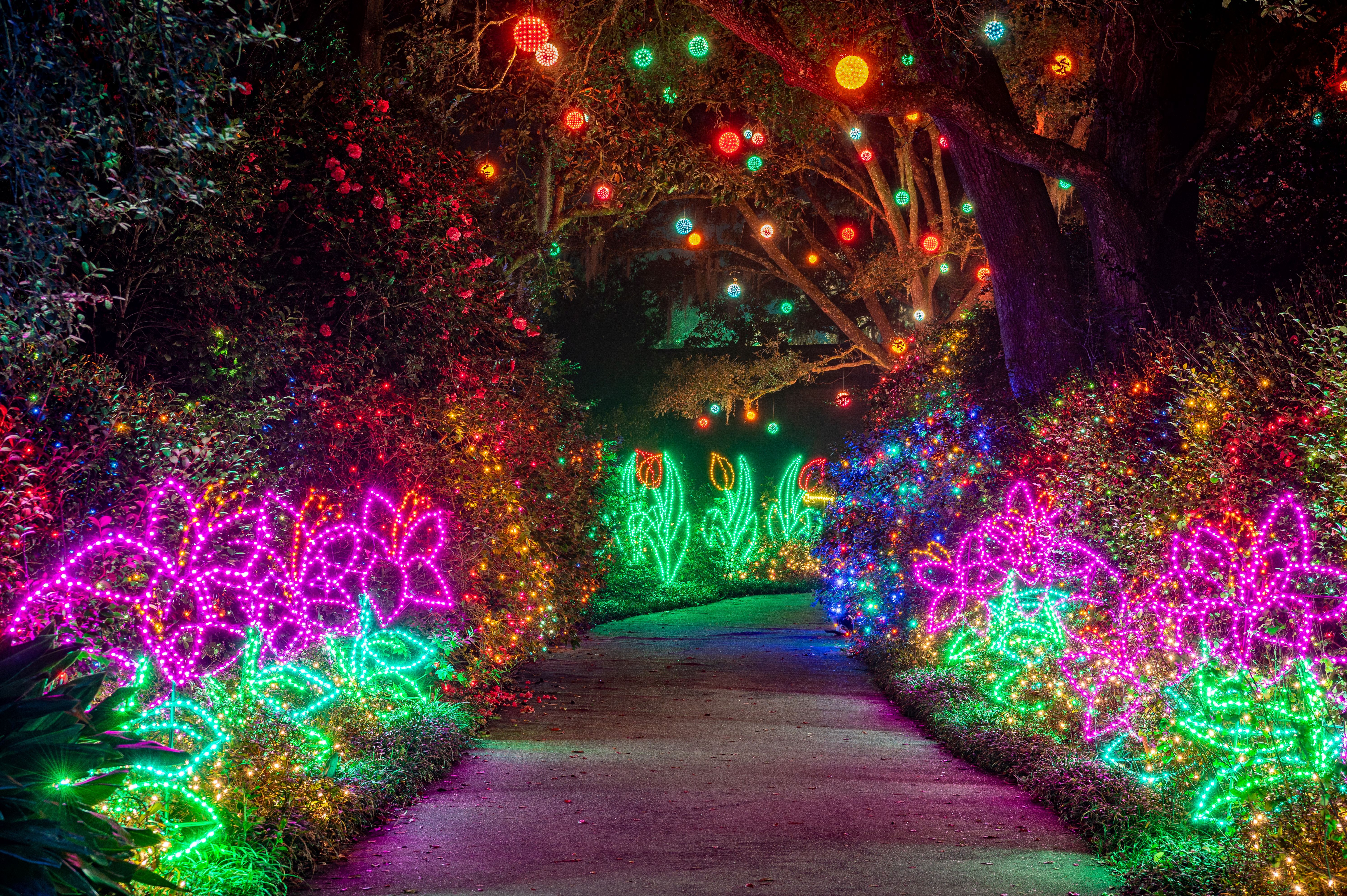 32 Towns With the Best Christmas Light Displays in the Country