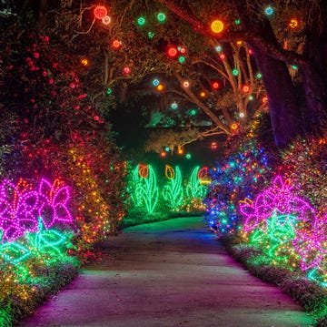 bellingrath gardens and home light show