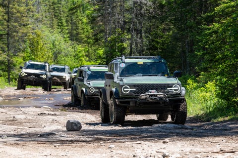 Ford Bronco Everglades Ford Bronco Everglades