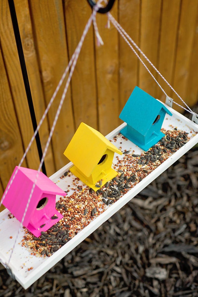 colorful bird feeder