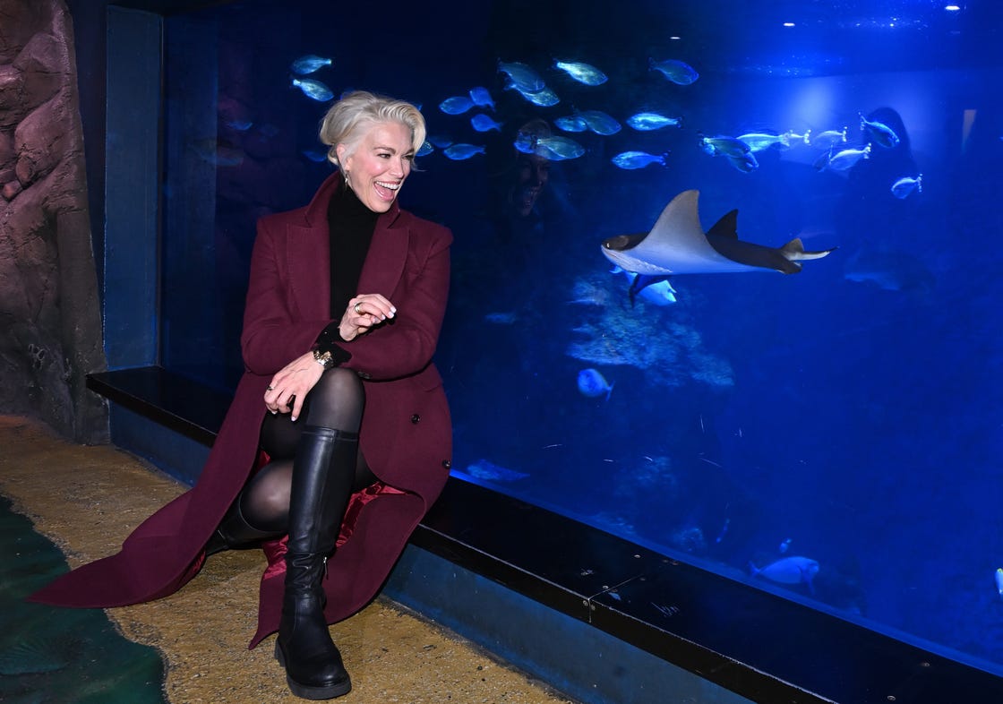 a person seated by a large aquarium featuring various fish and a ray