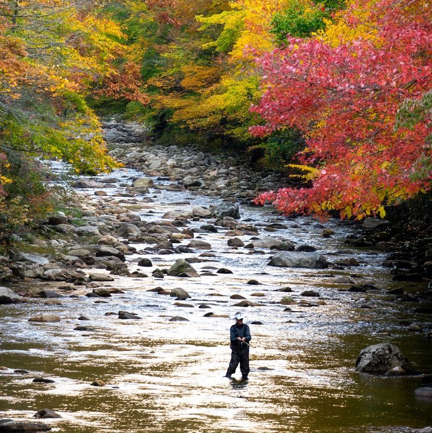 a man standing in a river with trees around him