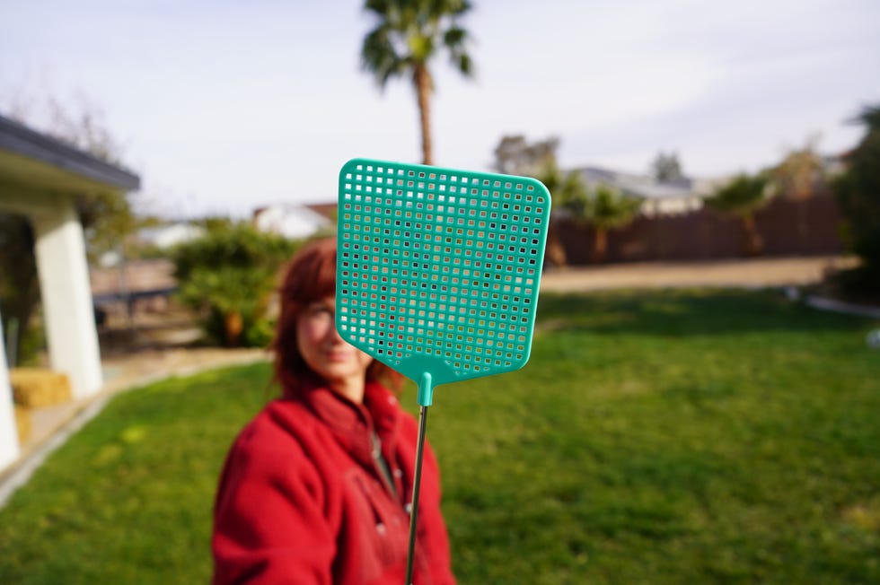choosing the best fly swatter