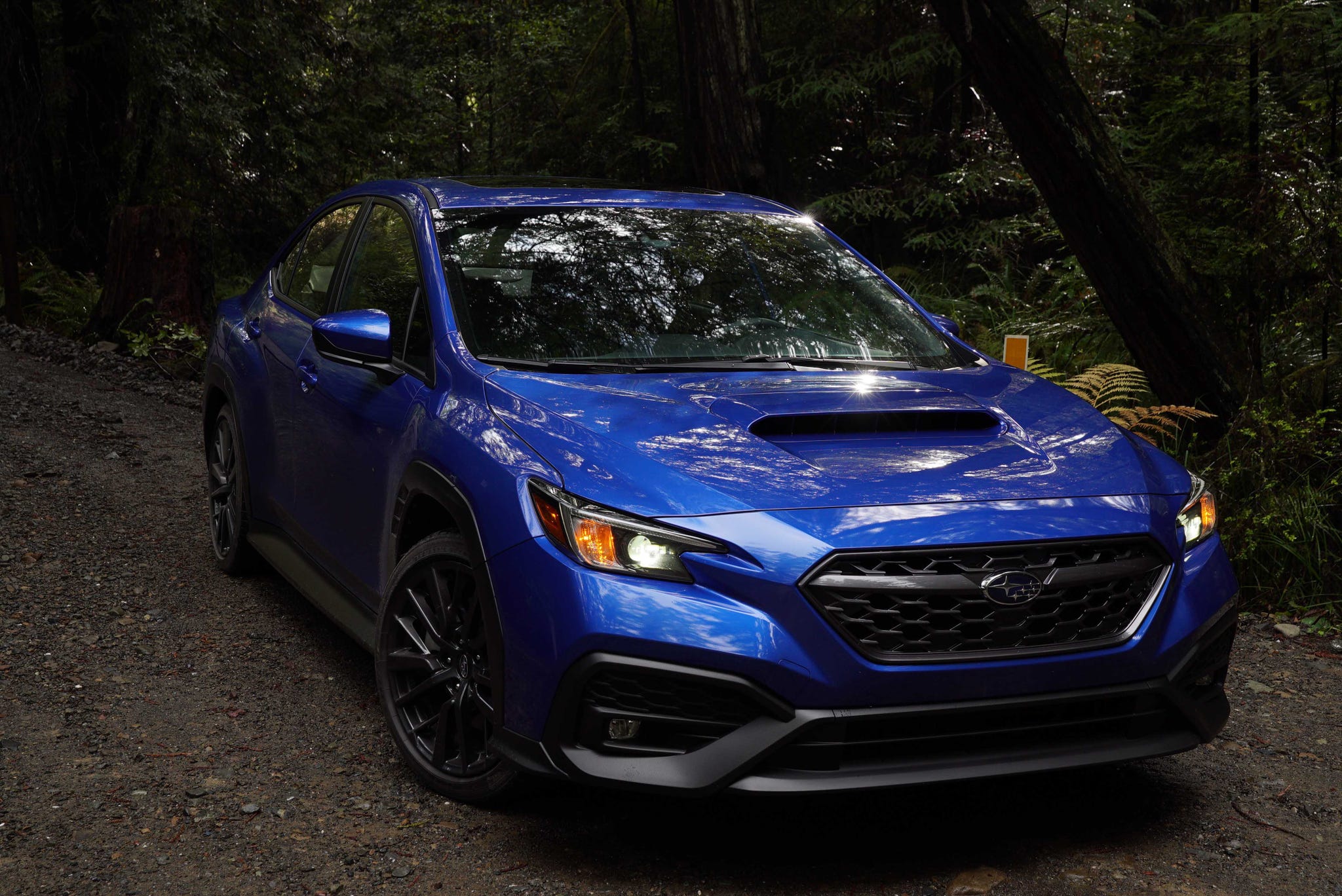 2022 Subaru WRX Photos: Road Tripping Through Big Sur