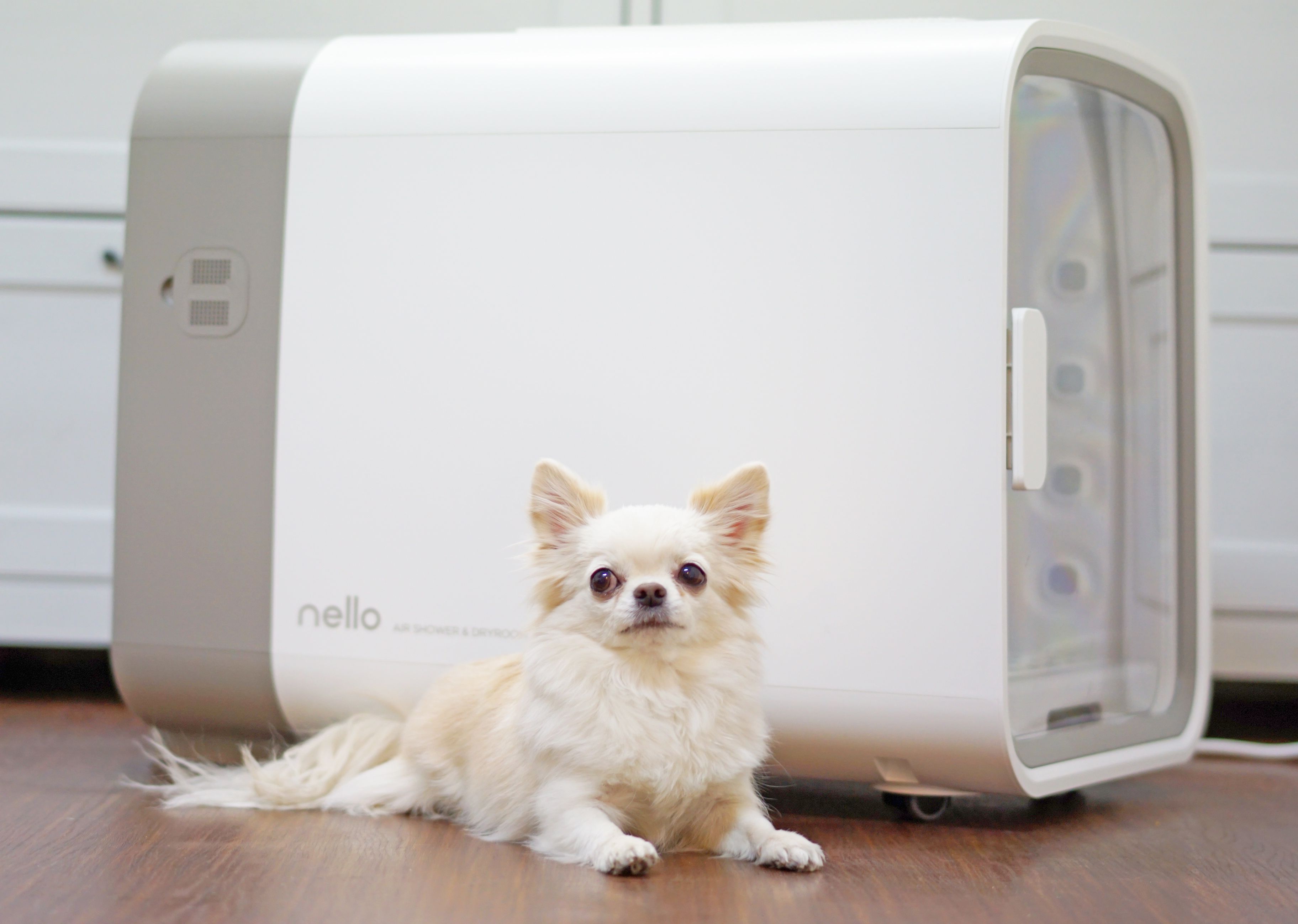 製品サイズnello ペットドライルーム　犬猫用　替えフィルター２個付