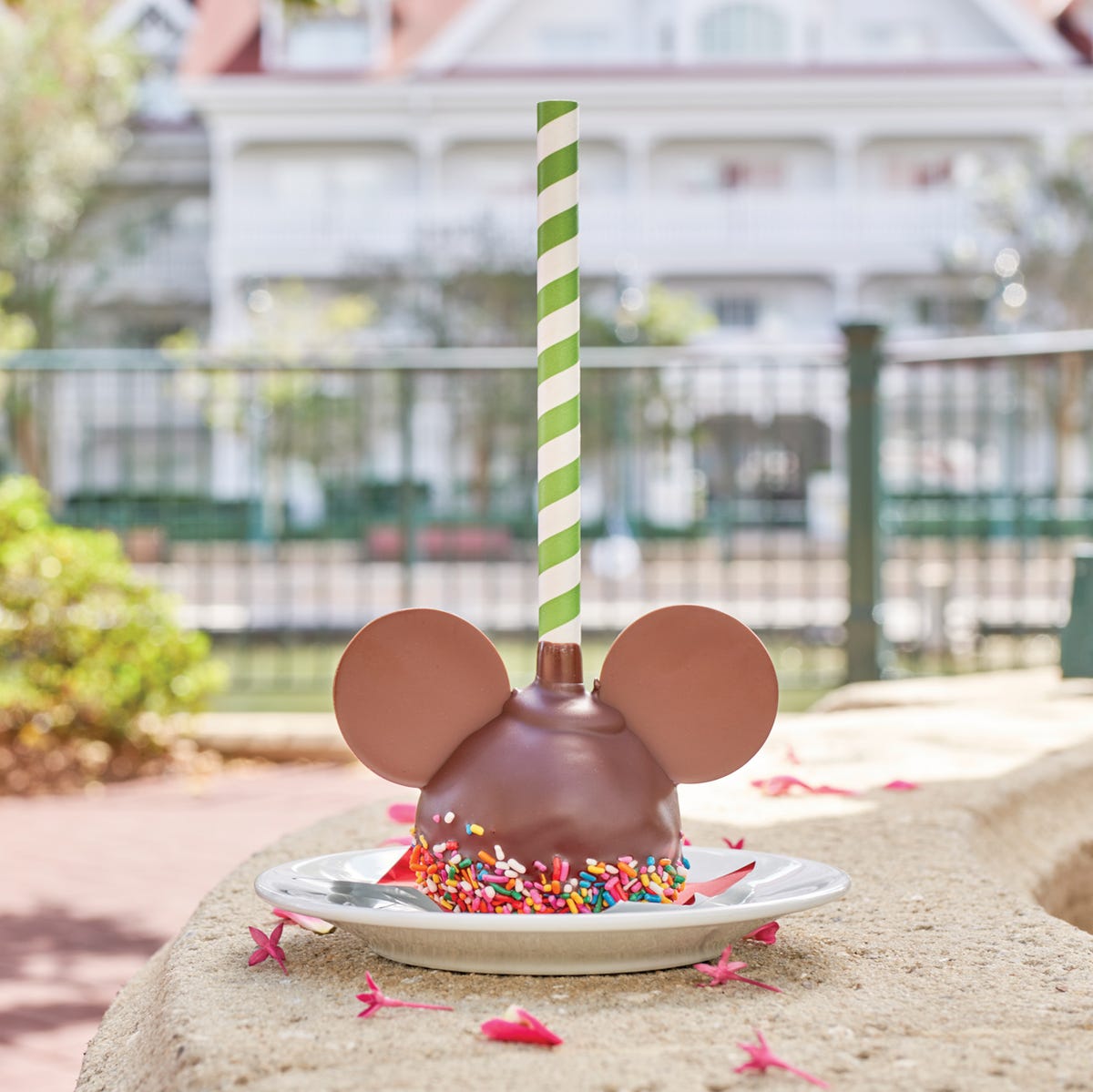 disney chocolate covered apple disney chocolate covered apple