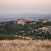 best wineries paso robles