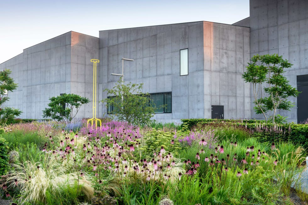 the hepworth wakefield garden   summer 31st july 2020