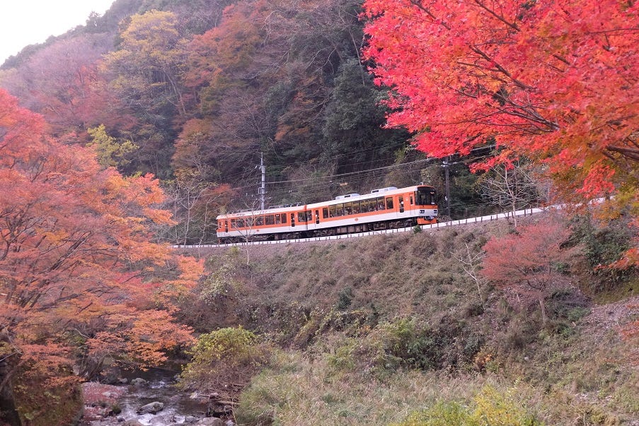 京都　紅葉の中を走る叡山電車
