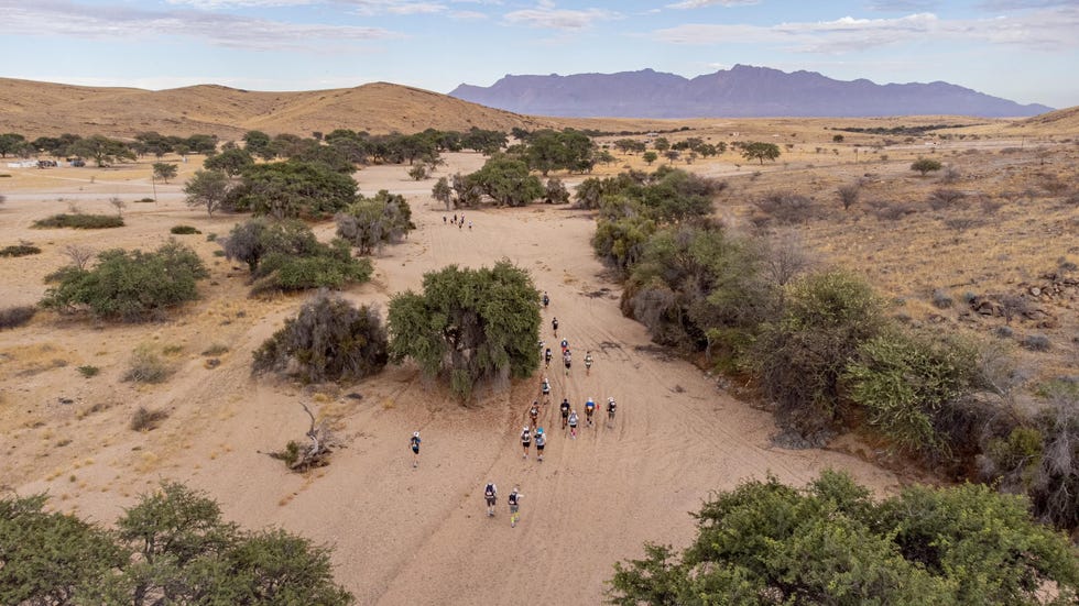 aerial shot of people running in a desert