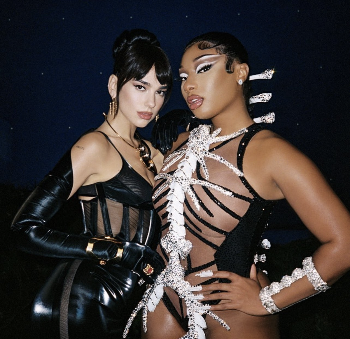 Megan Thee Stallion Wears Sheer Lace Catsuit