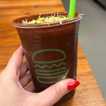 a chocolate dessert in a cup topped with vermicelli nuts and a green straw a chocolate dessert in a cup topped with vermicelli nuts and a green straw