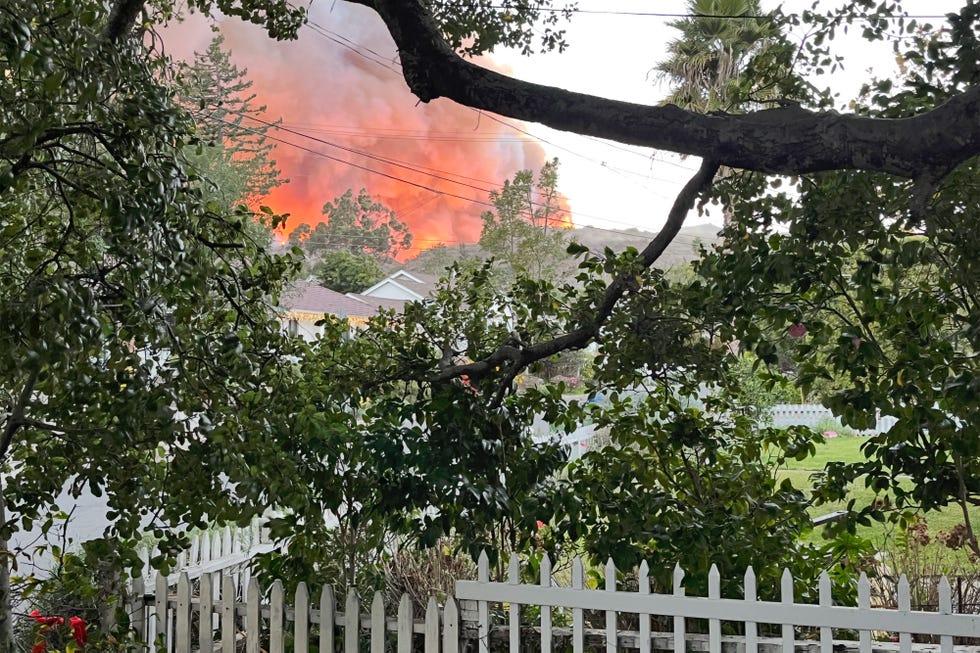 los angeles fires, pacific palisades, will rogers park