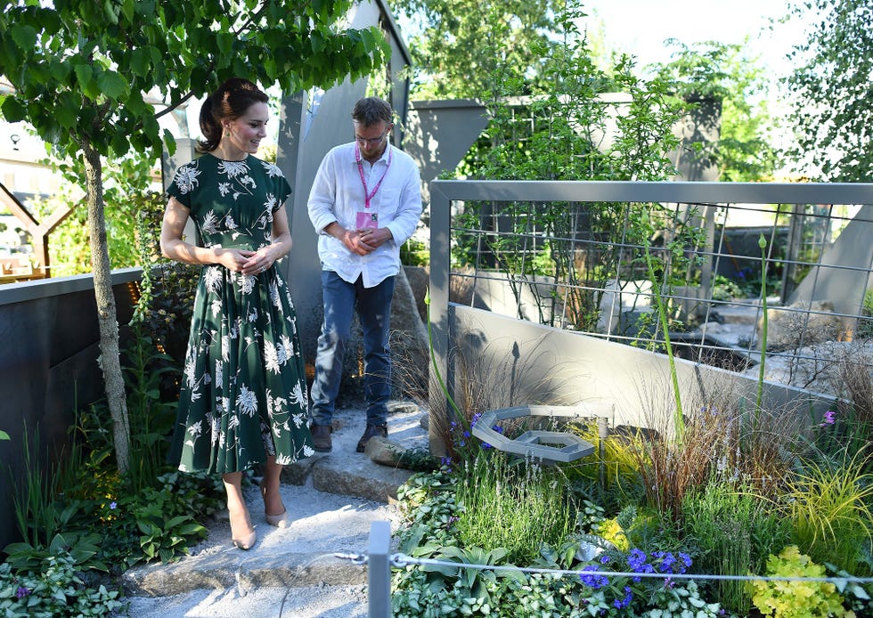 autumn plants chelsea flower show trends
