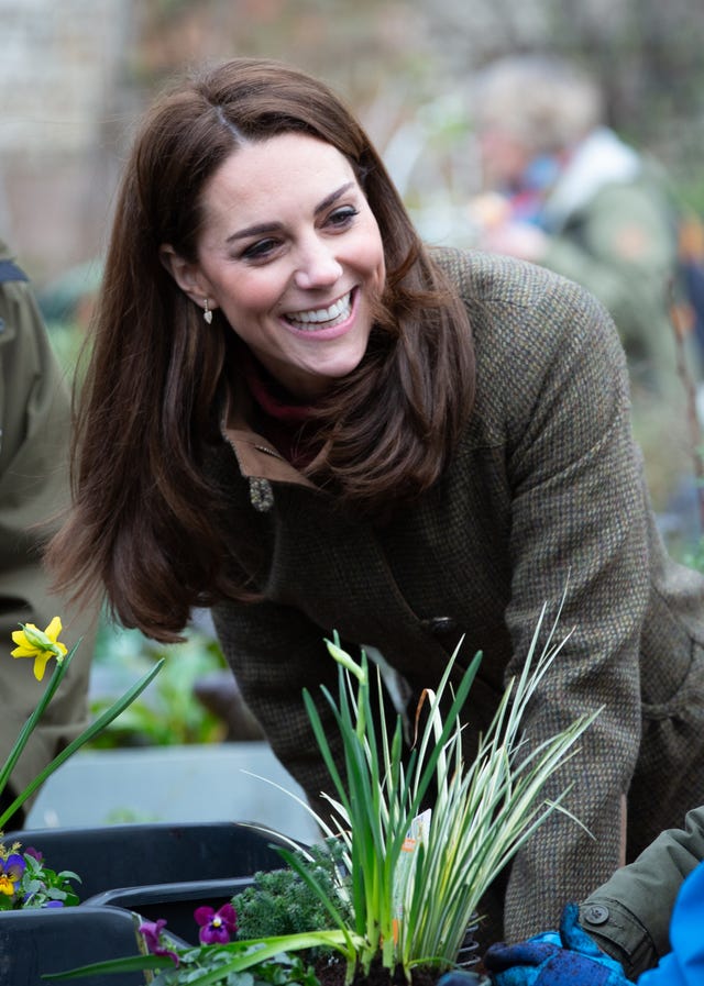 Flower, Smile, Plant, Grass, Botany, Grass family, Spring, Iris, Floristry, Floral design, 
