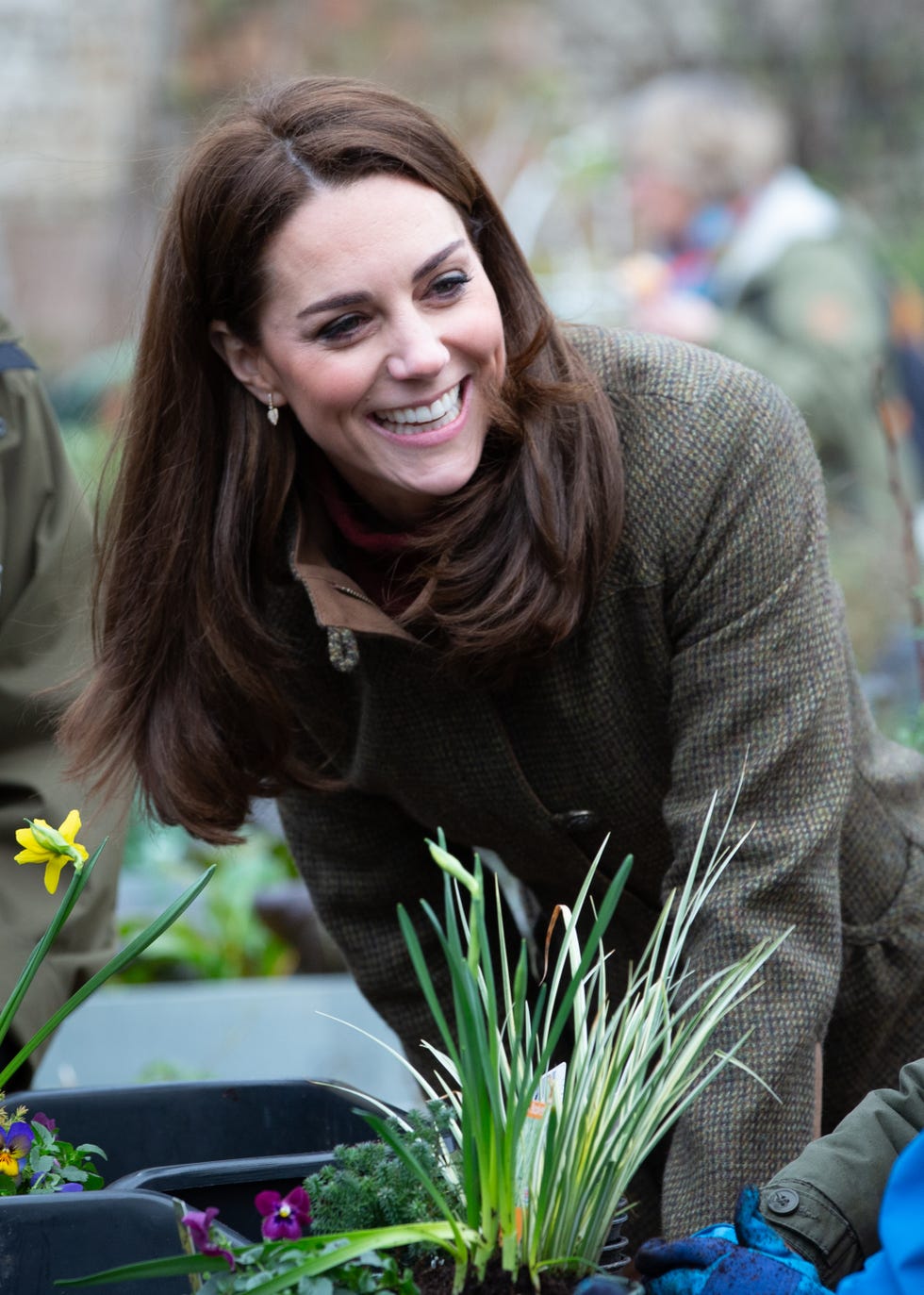 Flower, Smile, Plant, Grass, Botany, Grass family, Spring, Iris, Floristry, Floral design, 
