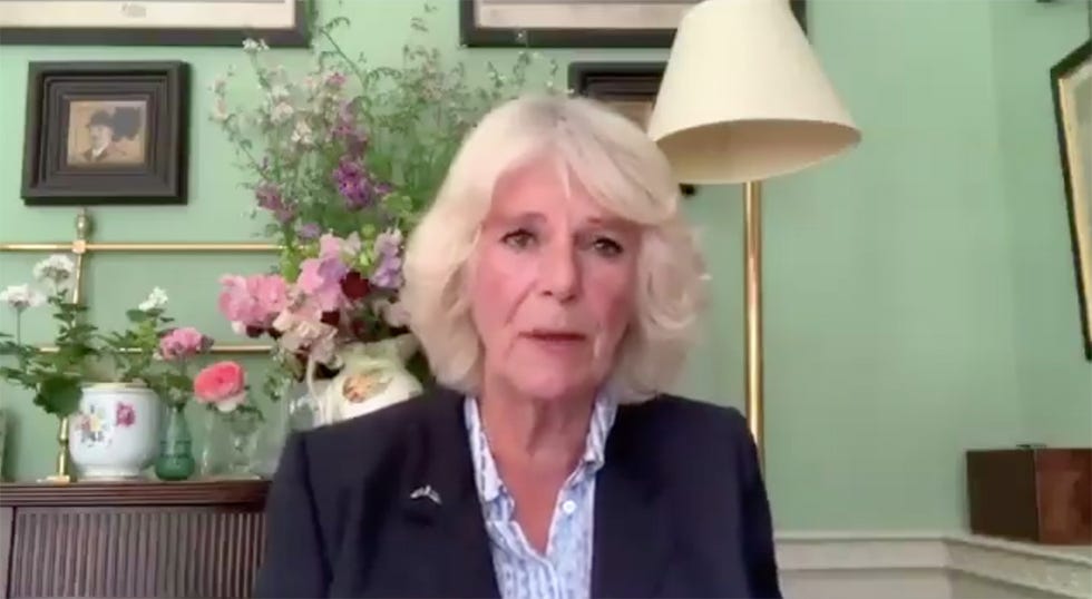 kate and camilla video call