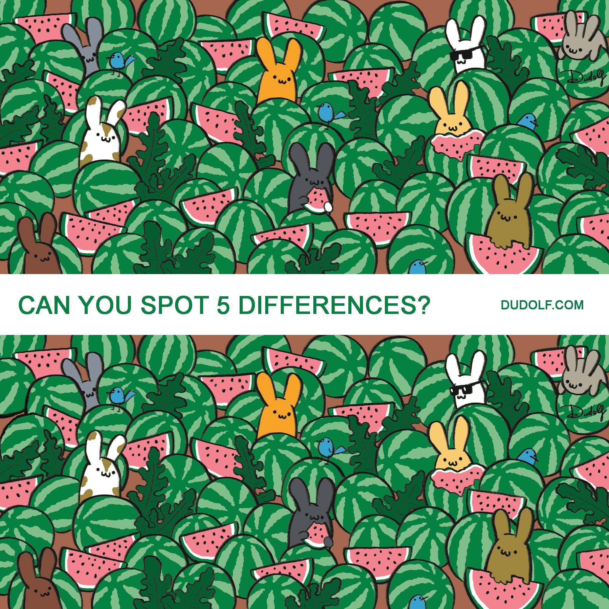 Can You Spot the Differences in This Watermelon Puzzle?