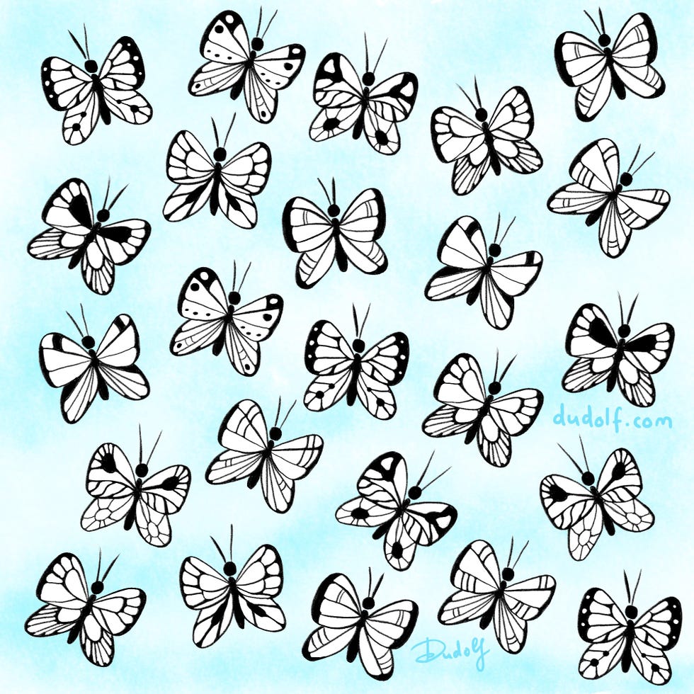 Can You Find the Butterfly Without a Match in This Brainteaser?