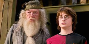 dumbledore y harry potter