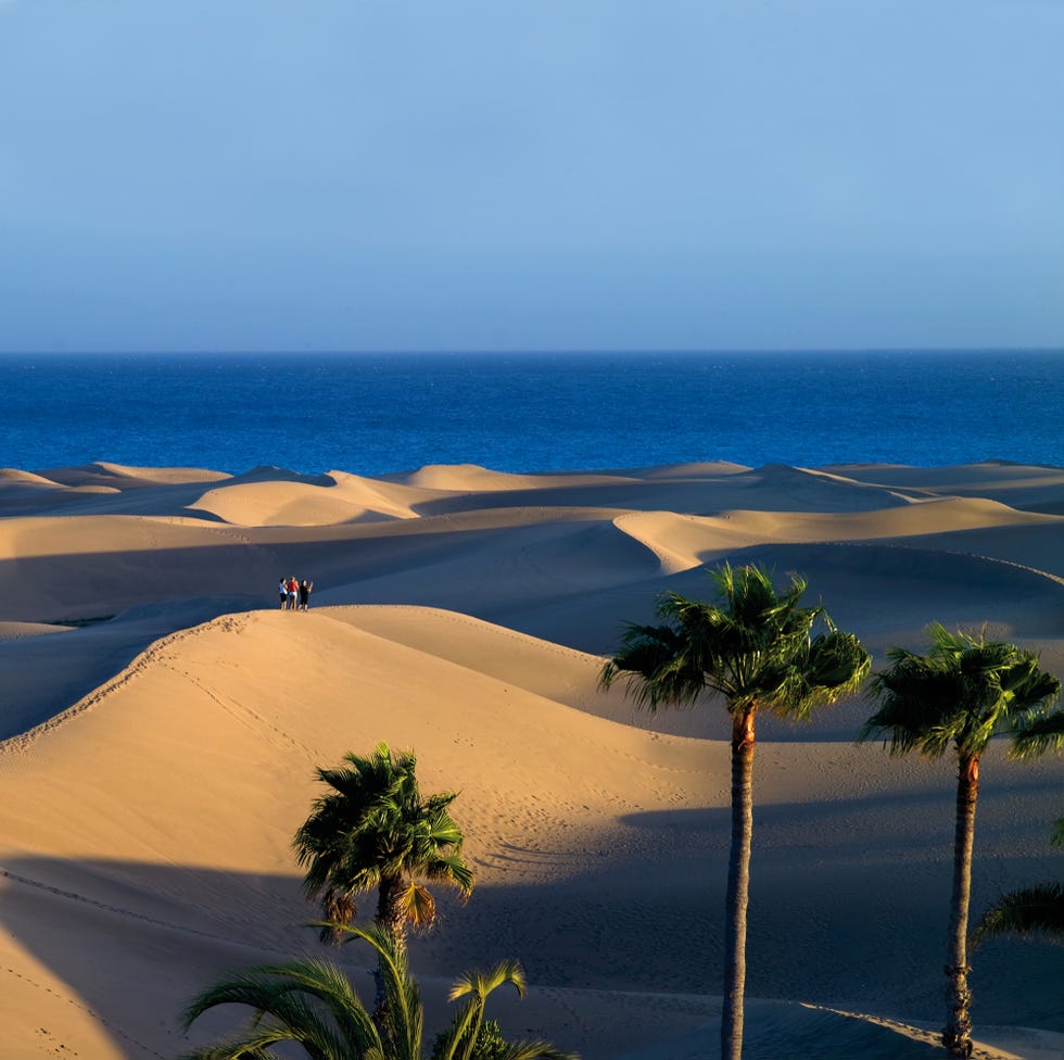 maspalomas dunes
