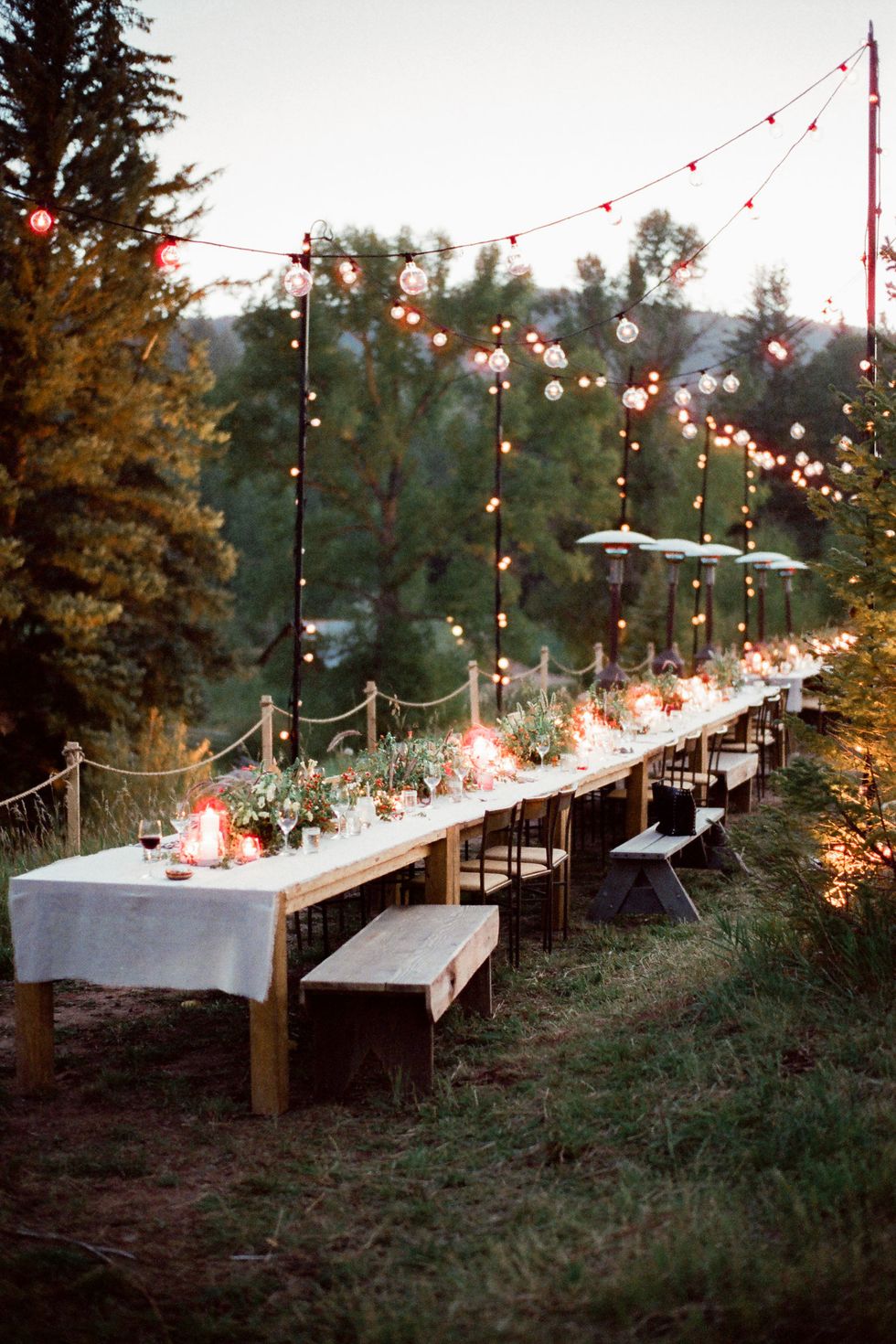 Tree, Table, Backyard, Party supply, Wedding reception, Event, Branch, Ceremony, Furniture, Plant, 
