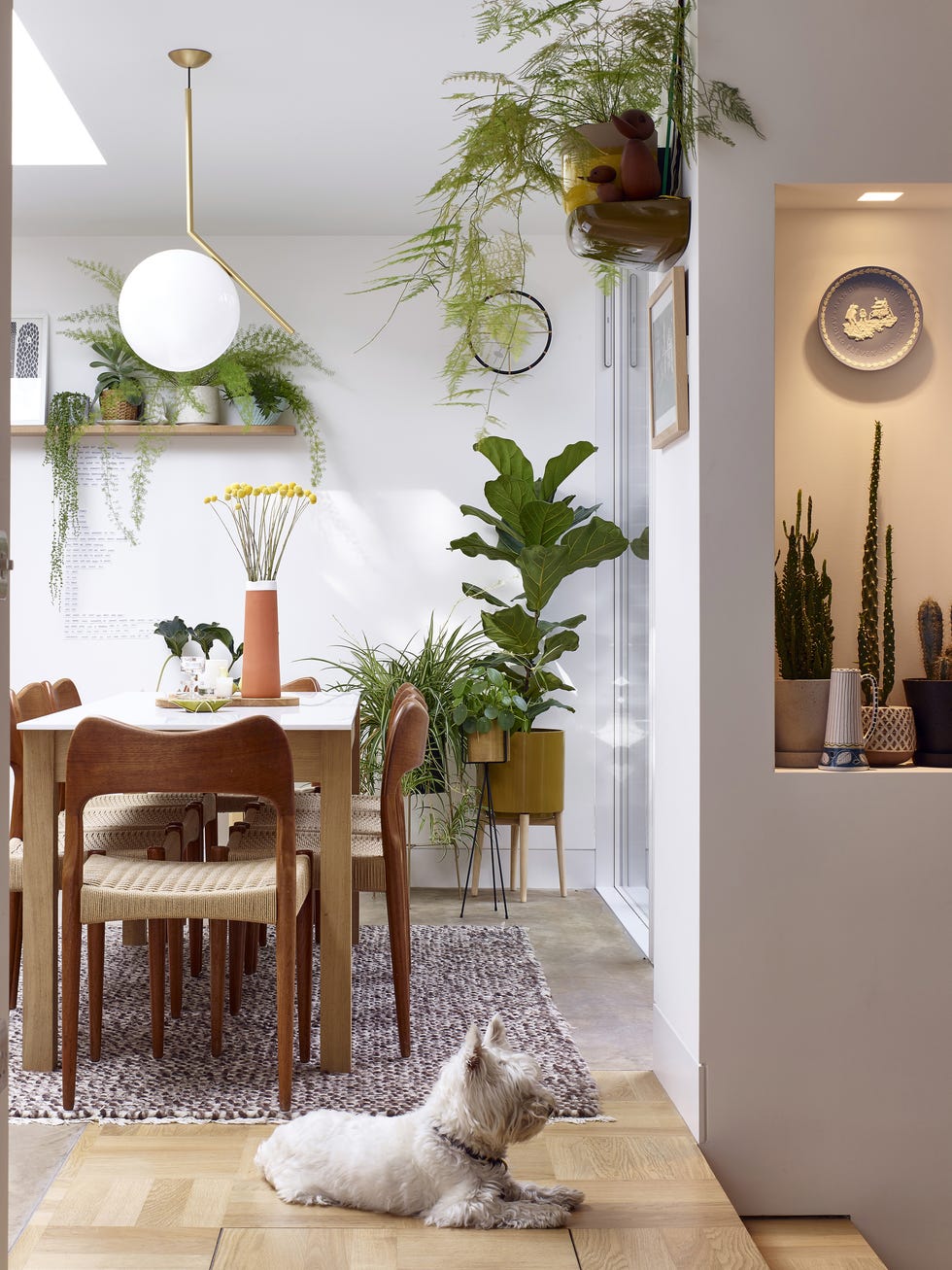comedor decorado con plantas