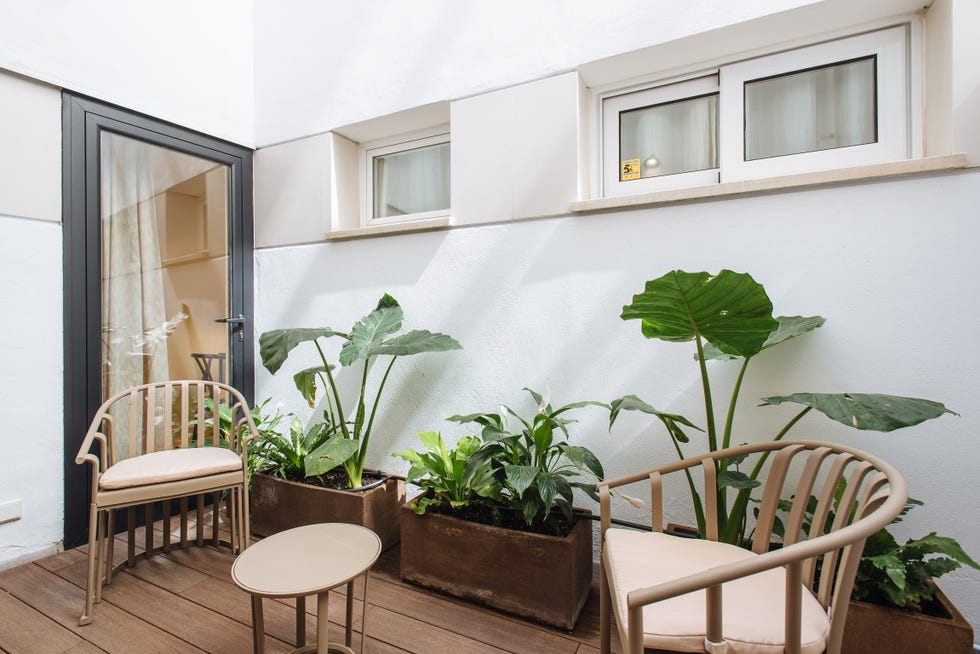 patio decorado con mobiliario color arena y plantas