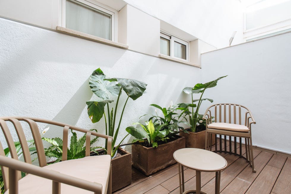 patio decorado con mobiliario color arena y plantas