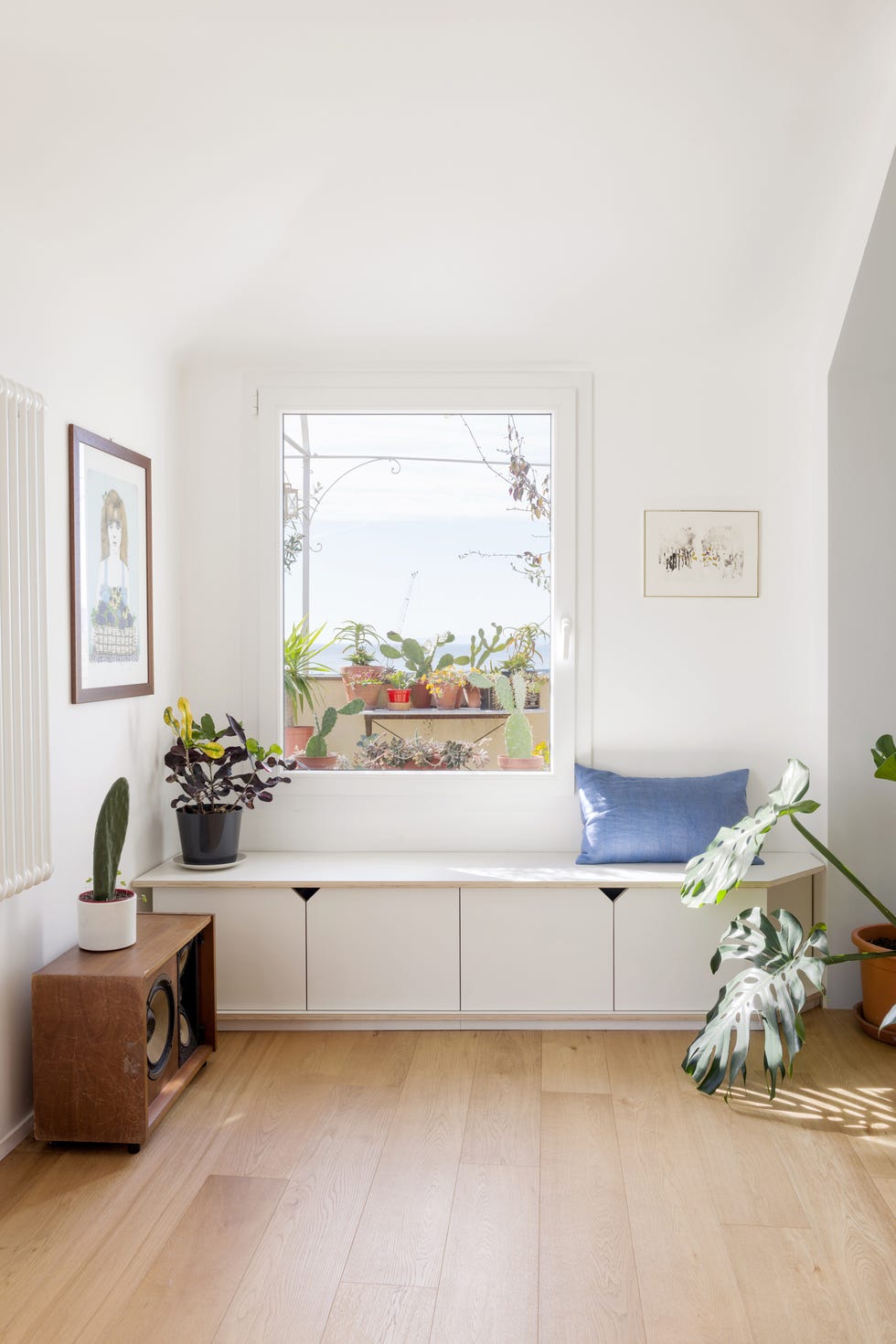 salón abierto moderno decorado con plantas