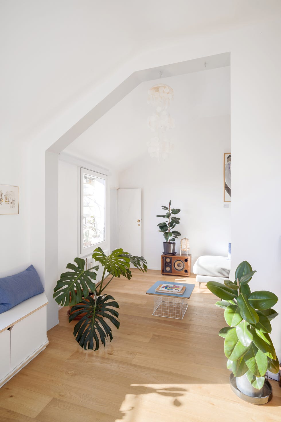 salón abierto moderno decorado con plantas