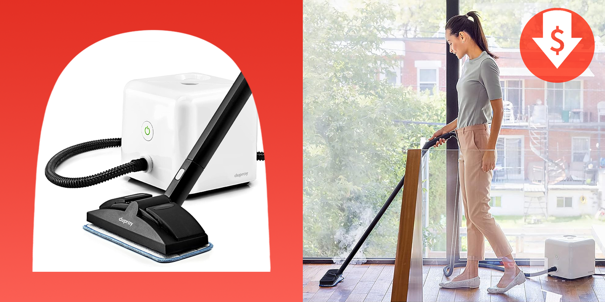 The Dupray Neat Steam Cleaner Cube Is 25 Off On Amazon