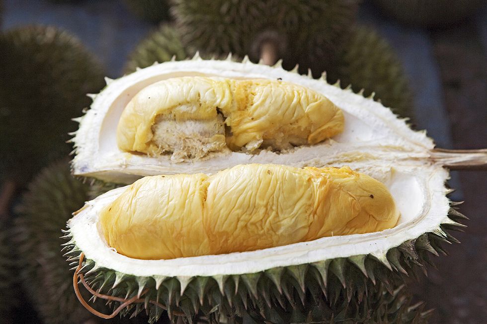 durian, fruta de malasia