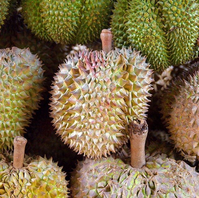 Durians are exotic fruits with foul-smelling