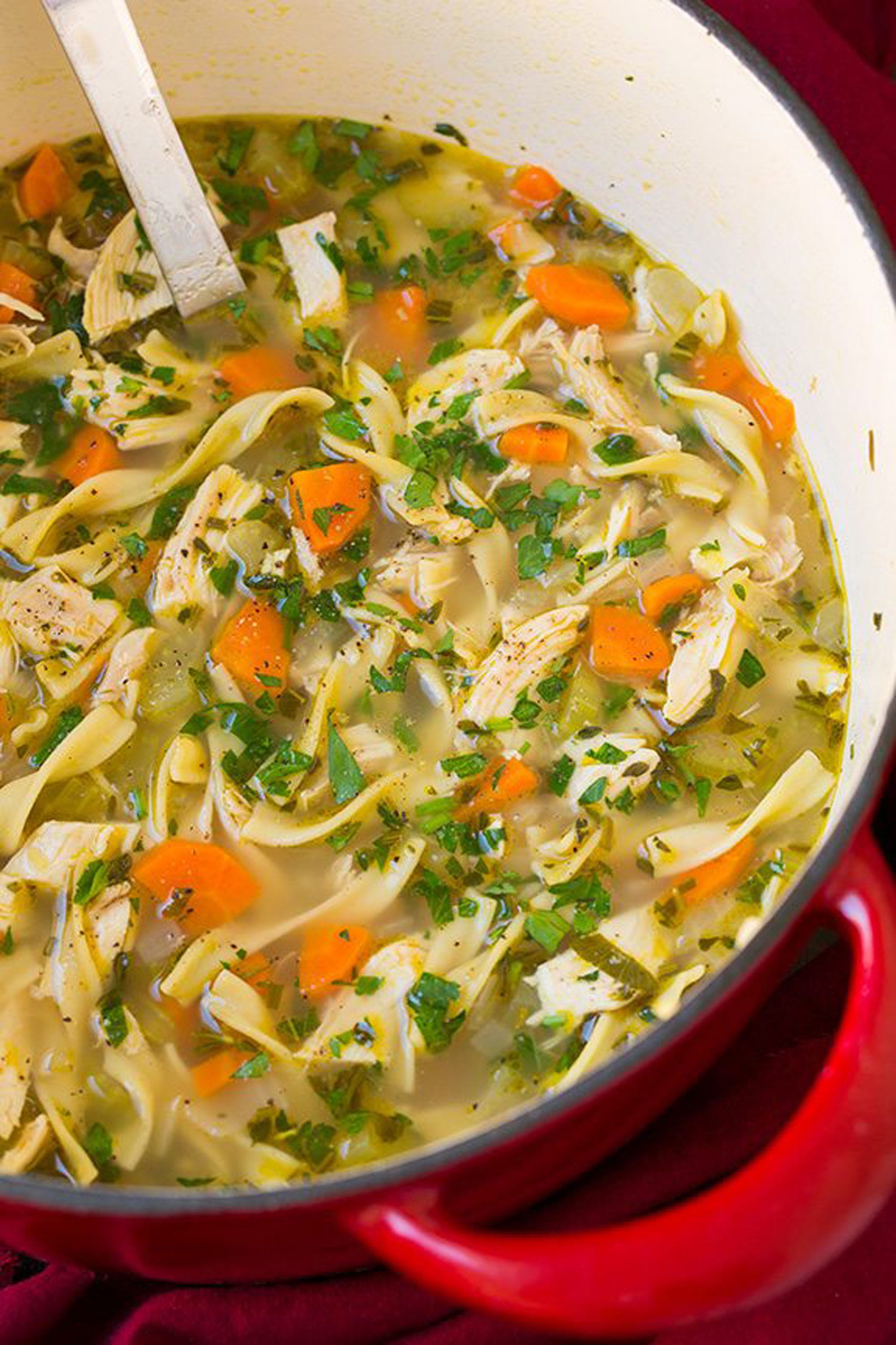 25 Delicious Dutch Oven Chicken Recipes - How to Make Chicken In a