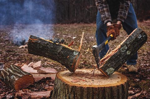 Wood chopping, Tree, Chainsaw, Axe, Hatchet, Woodland, Tree stump, Lumberjack, Forest, Wood, 
